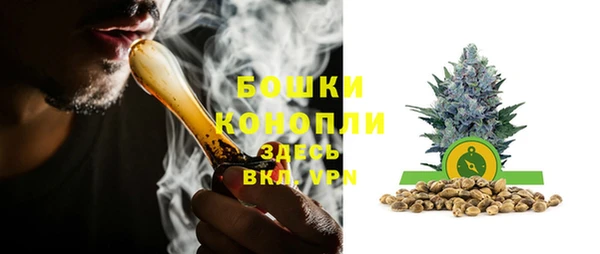 стаф Карпинск