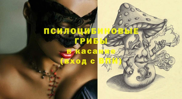 стаф Карпинск