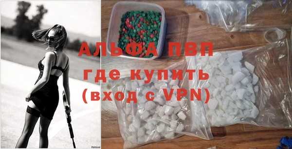 стаф Карпинск